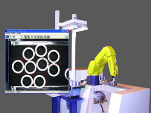 Fanuc Robot Vision System